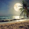 Beach With Moon Diamond Painting