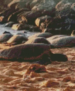 Beach With Turtle Diamond Painting