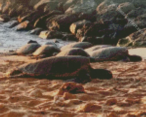 Beach With Turtle Diamond Painting