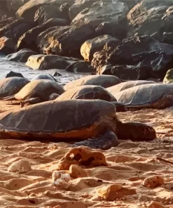 Beach With Turtle Diamond Painting