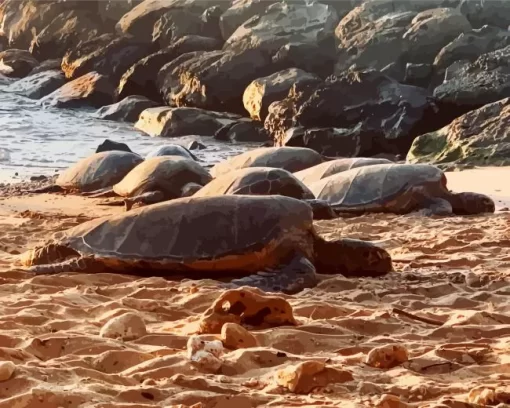 Beach With Turtle Diamond Painting