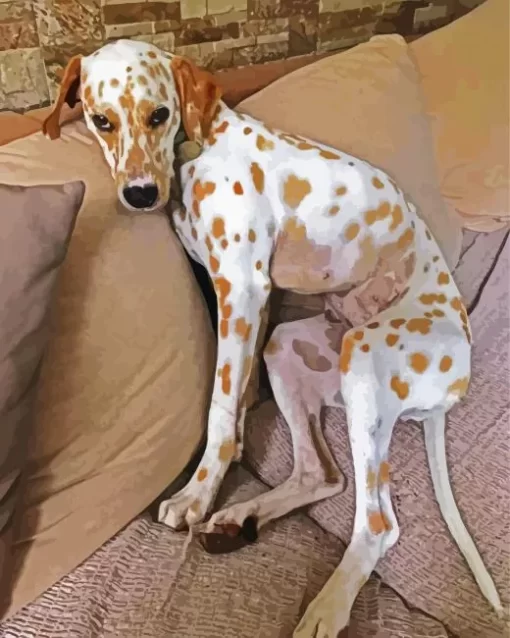 Blond Dalmatian Diamond Painting