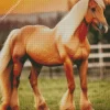 Blond Hair Horse Diamond Painting