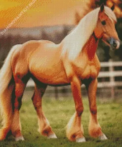 Blond Hair Horse Diamond Painting