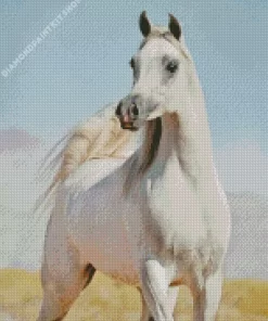 Blonde Arabian Horse Diamond Painting