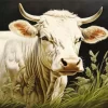 Blonde Cow Diamond Painting