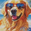 Blonde Labrador Wearing Sunglasses Diamond Painting