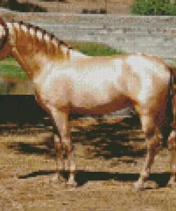 Blonde Stallion Diamond Painting