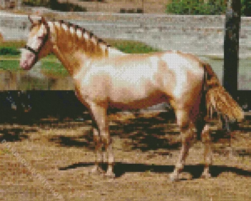 Blonde Stallion Diamond Painting