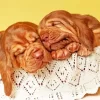 Bloodhound Puppies Diamond Painting