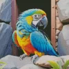 Blue And Gold Macaw Bird Diamond Painting