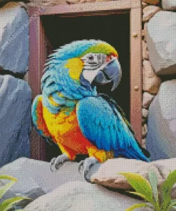 Blue And Gold Macaw Bird Diamond Painting