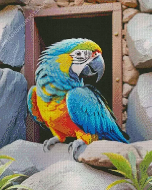 Blue And Gold Macaw Bird Diamond Painting