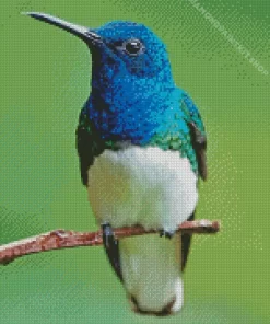 Blue And Green Hummingbird Diamond Painting