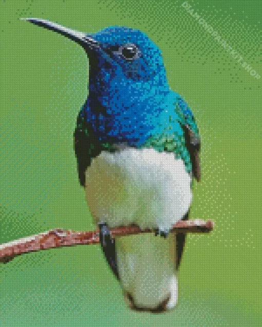 Blue And Green Hummingbird Diamond Painting