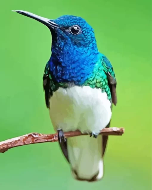 Blue And Green Hummingbird Diamond Painting