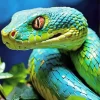 Blue And Green Pit Vipers Diamond Painting