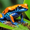 Blue And Orange Frog Diamond Painting