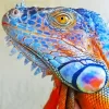 Blue And Orange Iguana Diamond Painting