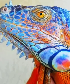 Blue And Orange Iguana Diamond Painting