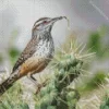 Cactus Wren Diamond Painting