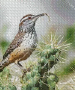 Cactus Wren Diamond Painting