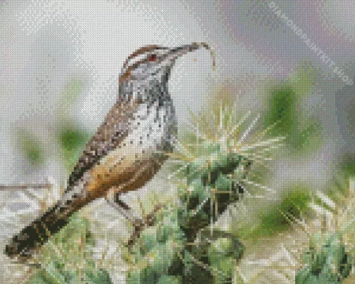 Cactus Wren Diamond Painting