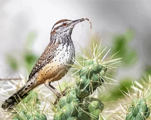 Cactus Wren Diamond Painting