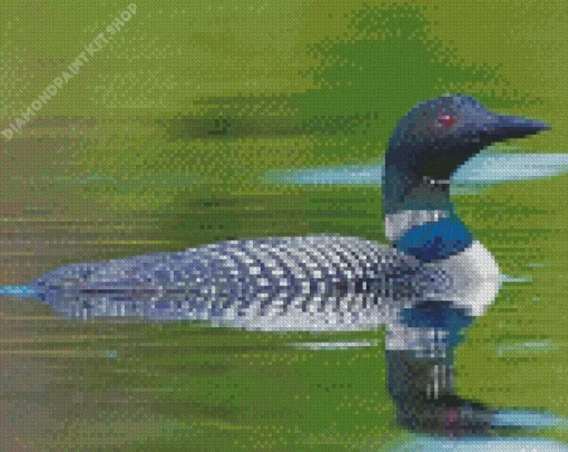 Common Loon Diamond Painting