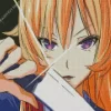 Cool Erina Nakiri Diamond Painting