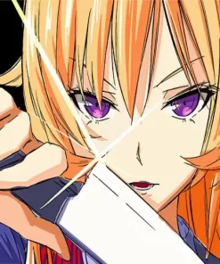 Cool Erina Nakiri Diamond Painting