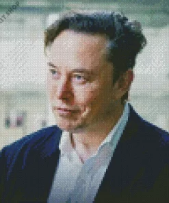 Elon Musk Diamond Painting