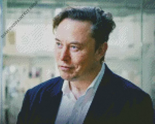 Elon Musk Diamond Painting