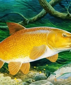 Fish Barbel Art Diamond Painting