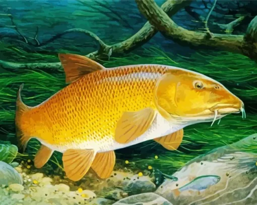 Fish Barbel Art Diamond Painting