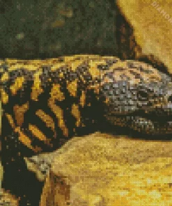 Gila Monster Diamond Painting