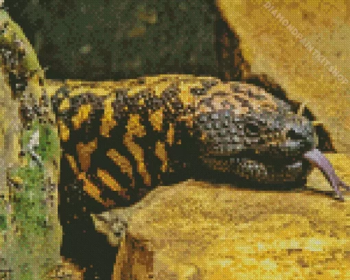 Gila Monster Diamond Painting