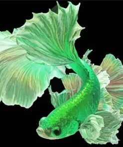 Green Betta Fish Diamond Painting