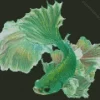 Green Betta Fish Diamond Painting