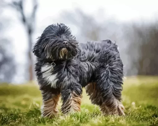 Grey Tibetan Terrier Dog Diamond Painting