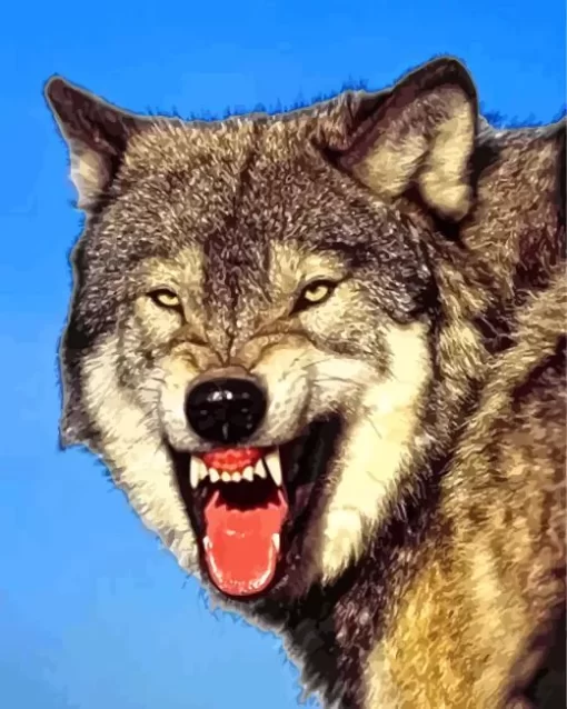 Grey Wolf Growling Diamond Painting