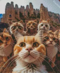 Group Cats Selfie Diamond Painting