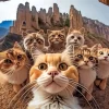 Group Cats Selfie Diamond Painting