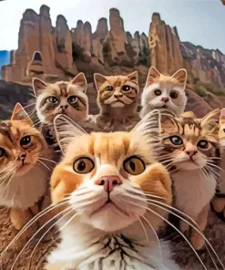 Group Cats Selfie Diamond Painting