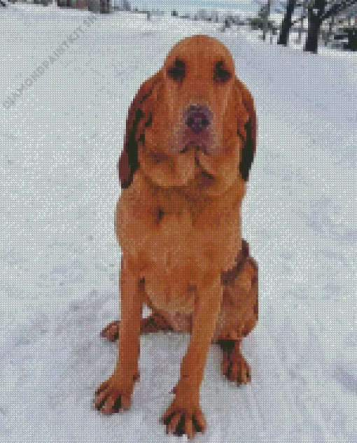 Red Bloodhound Diamond Painting