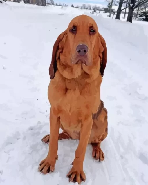 Red Bloodhound Diamond Painting