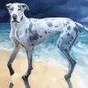 Speckled Great Dane Art Diamond Painting