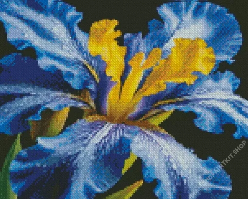 Blooming Blue Iris Diamond Painting