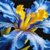 Blooming Blue Iris Diamond Painting