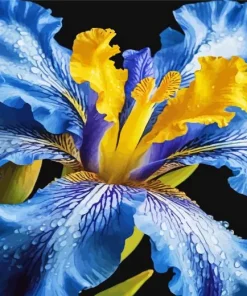 Blooming Blue Iris Diamond Painting